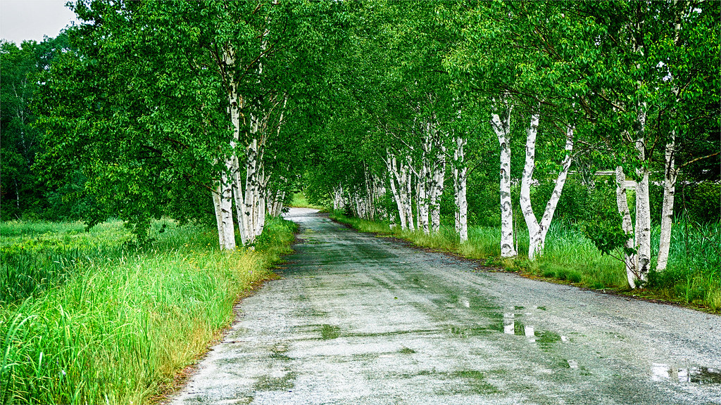 Sawmill Creek Road Hillsborough, NB scratchmedia Flickr