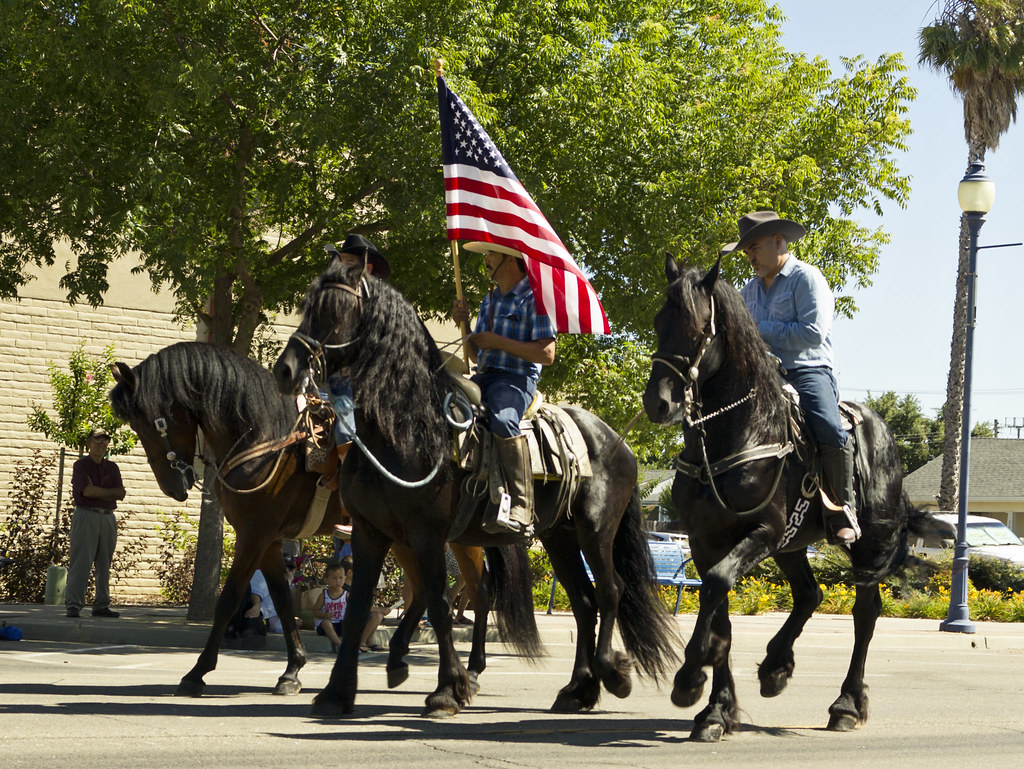 Dancing Horses Galt Parade 2018 Dawna Kay Flickr