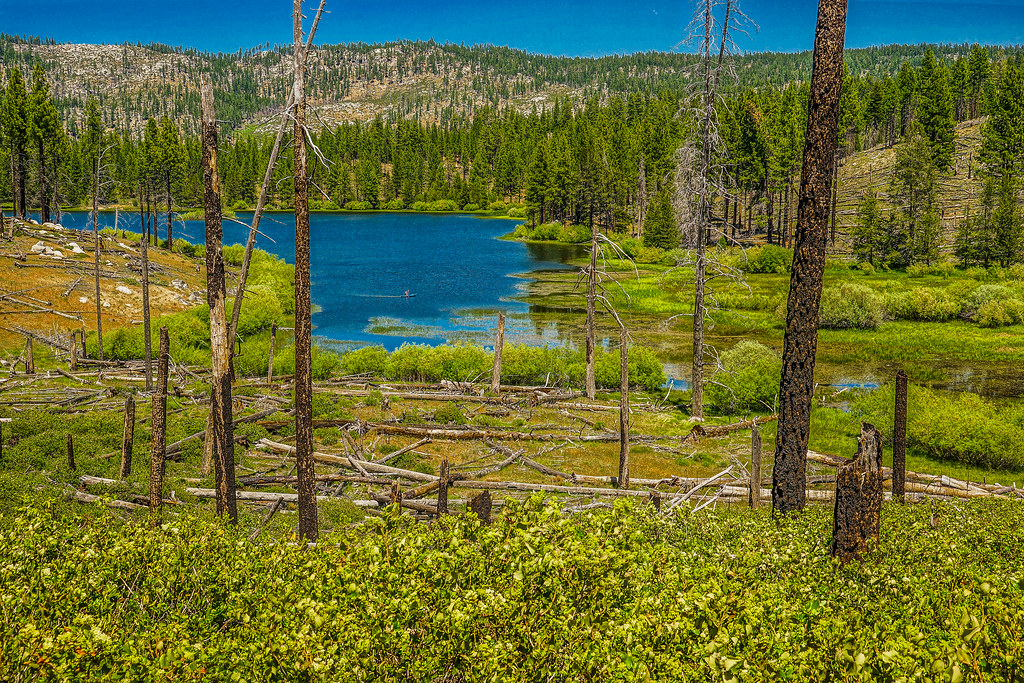 DSC08306Antelope Lake, Plumas County, CA In the high mou… Flickr
