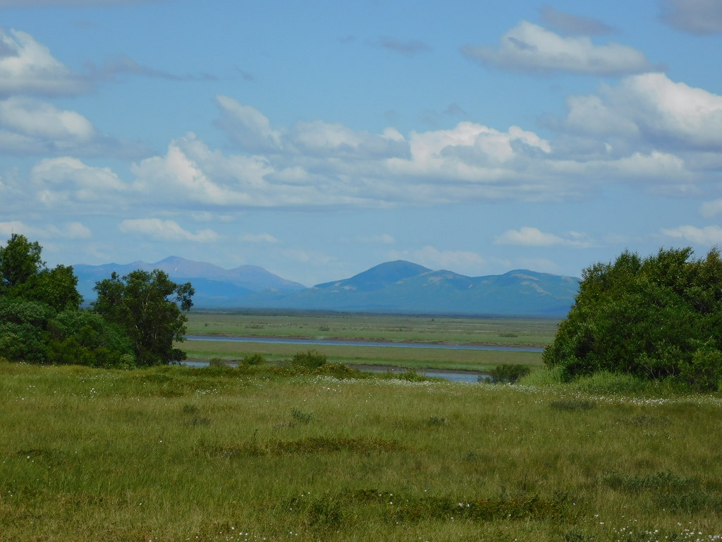 The Local Landscape On the Wood River road in Dillingham, … Jimmy