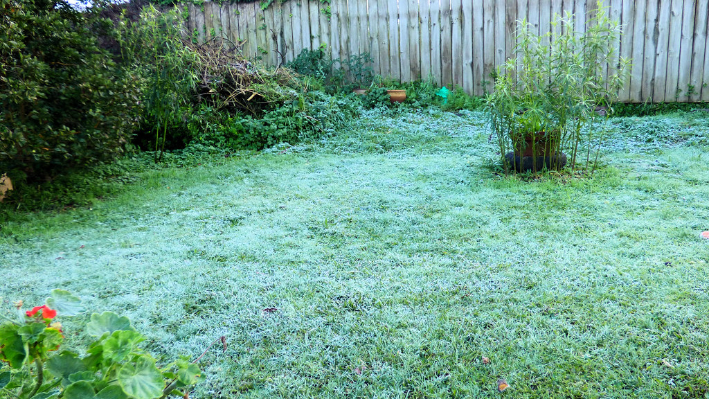 Massey, West Auckland, New Zealand First for winter a bi… Flickr