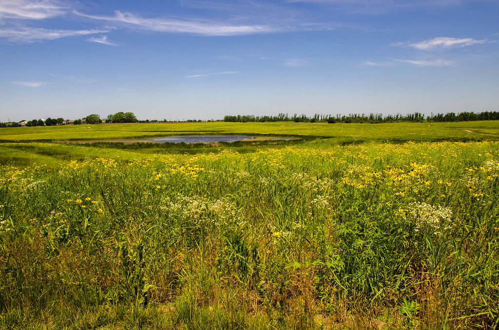 Prairie Pond a photo on Flickriver