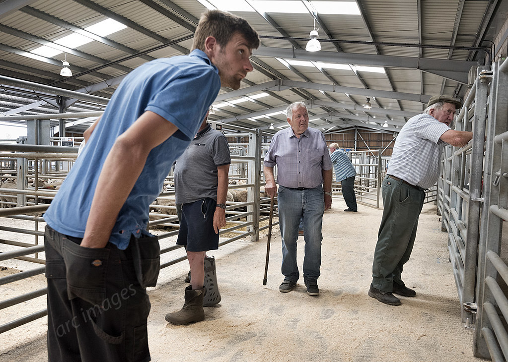Junction 36 Rural Auction Centre, NW Auctions. Waiting for… Flickr