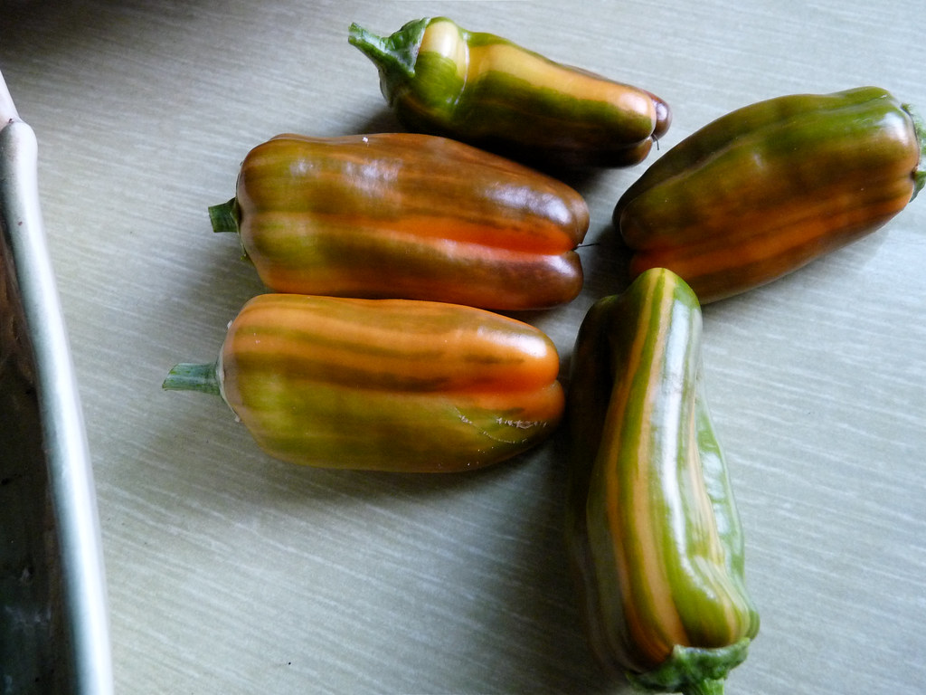 Candy Cane Peppers 201807(2) Tom Jenkins Flickr