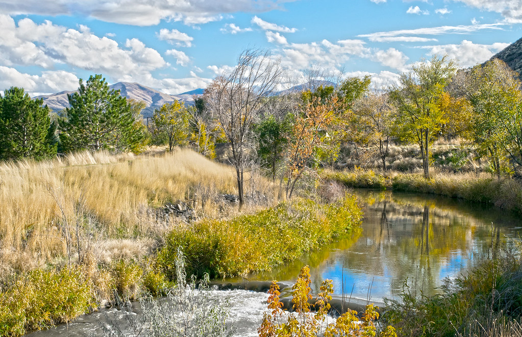 Elevation of Idaho State University, S 8th Ave, Pocatello, ID, USA Topographic Map Altitude Map