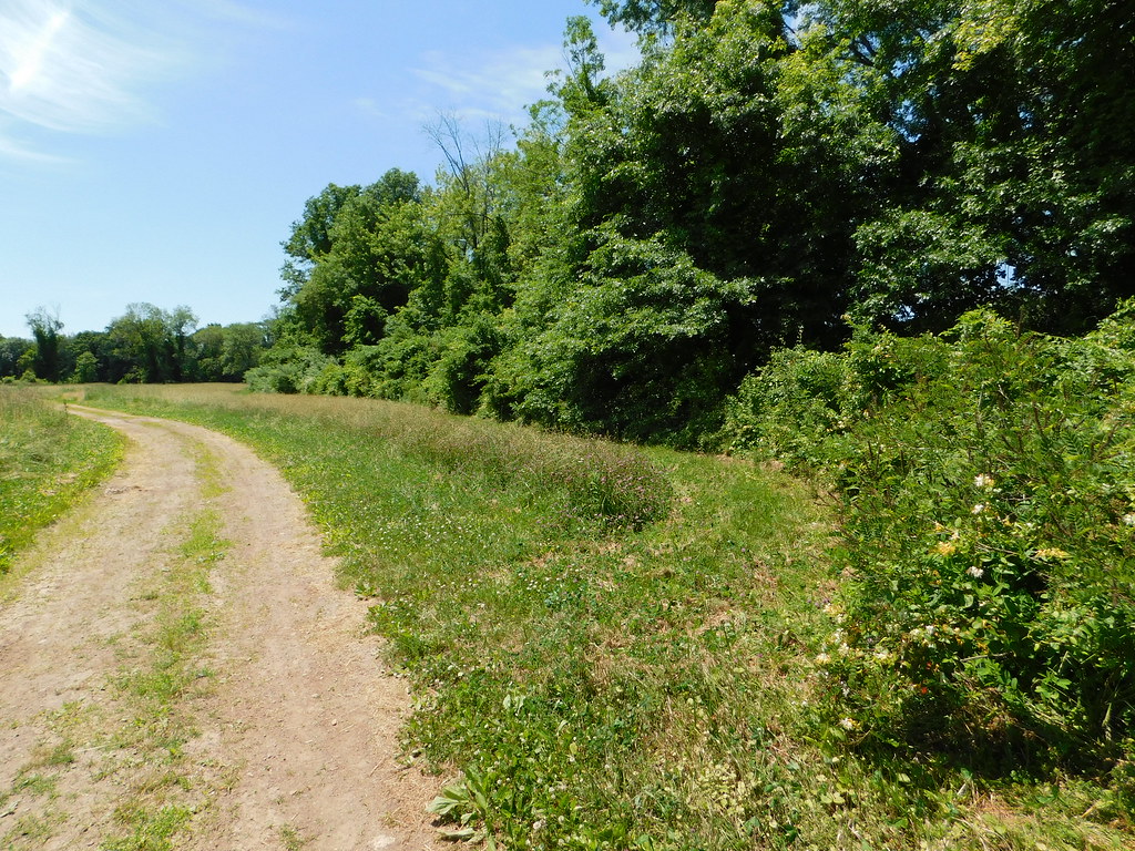 Portland Fairgrounds 6/16/18 Portland Fairgrounds, Portl… Peter