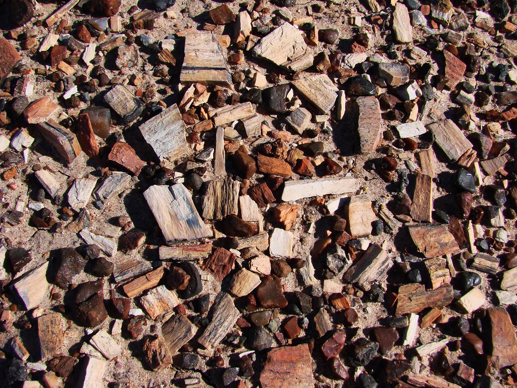 petrified wood gravel This gravel, or collection of small … Flickr