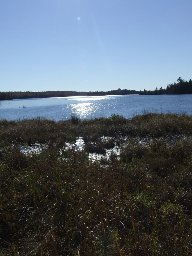 MarshyLake_Ardoch_Fall2006 Autumn Sun on Marshy Lake Flickr