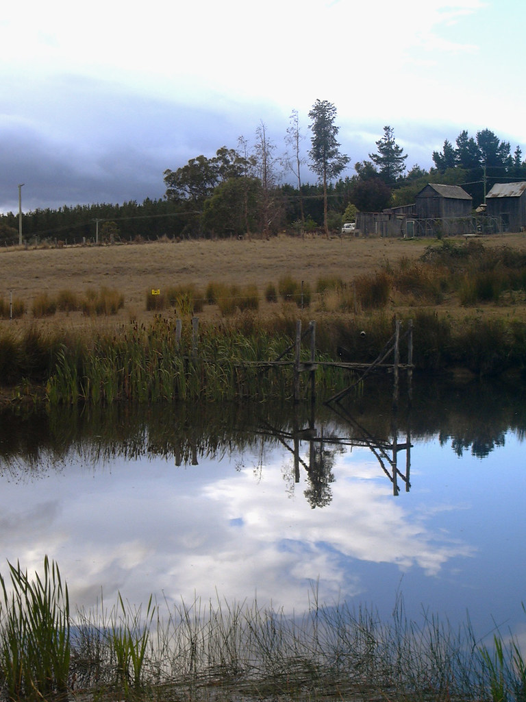Fentonbury Tasmania dytay Flickr