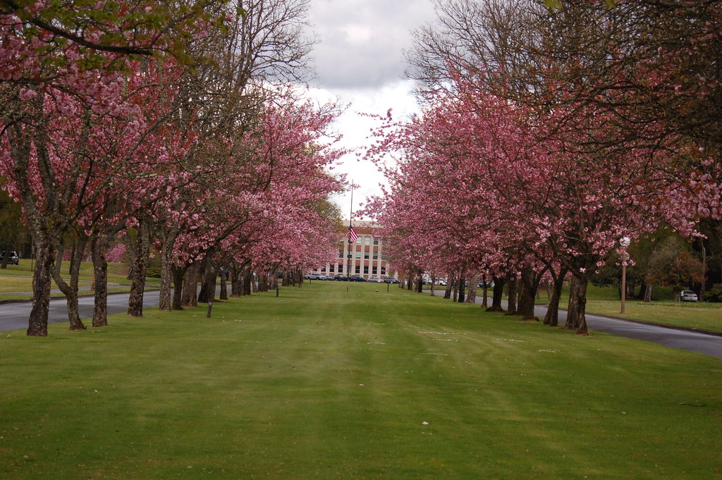 Building 100 (c) 2007DRH Building 100 … Flickr