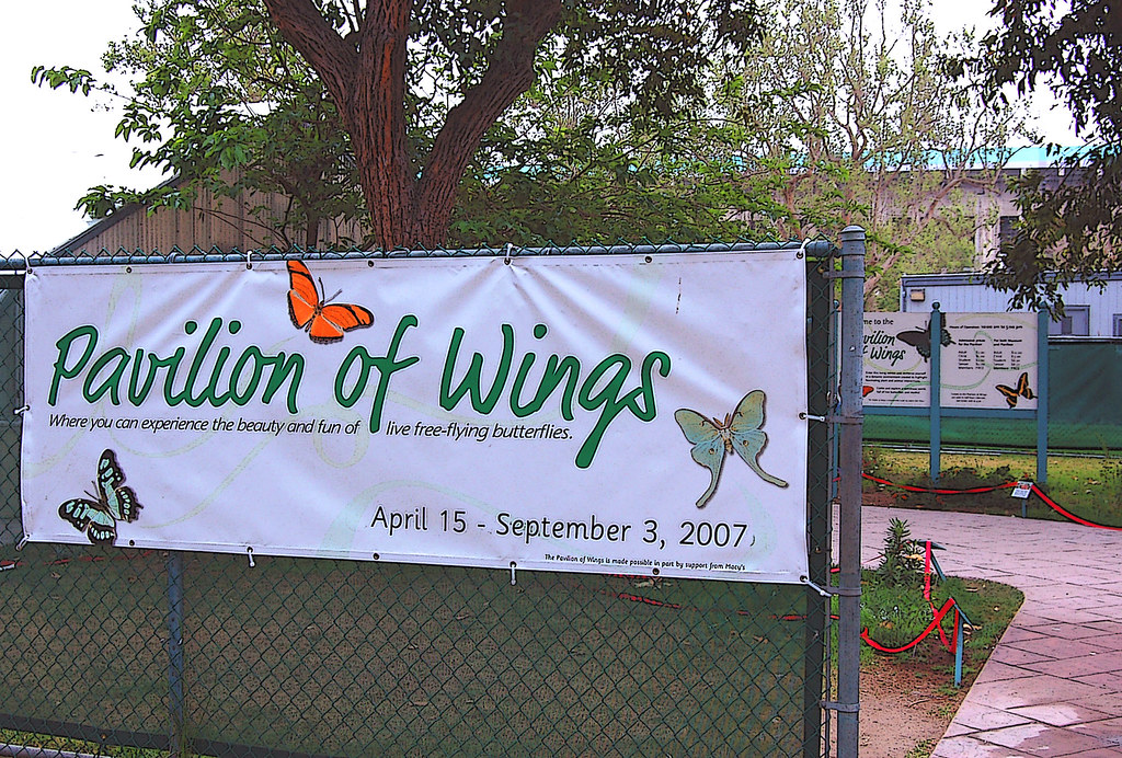 Pavilion of Wings Zeetz Jones Flickr