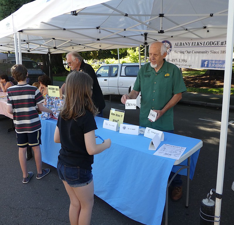 7.28.18 Albany Market Flickr