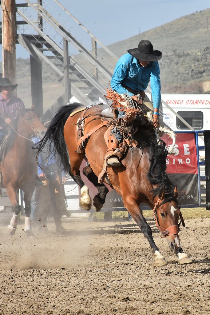 Baker County Tourism 45258 Great Rodeo… Flickr