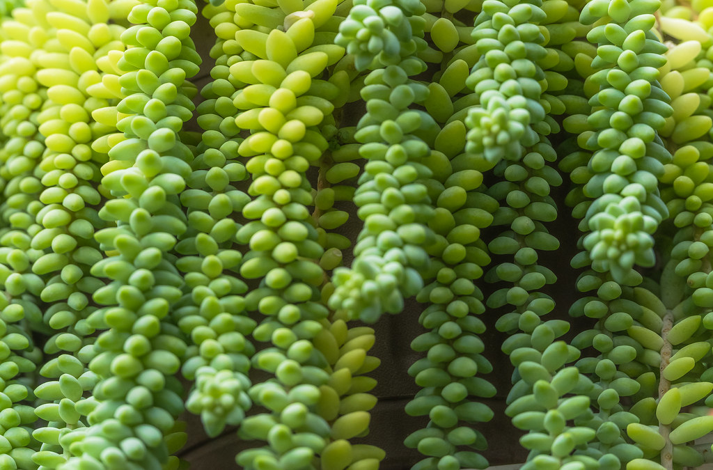 May Garden Franklin Nh Tarbin Gardens In Franklin, NH YouTube May