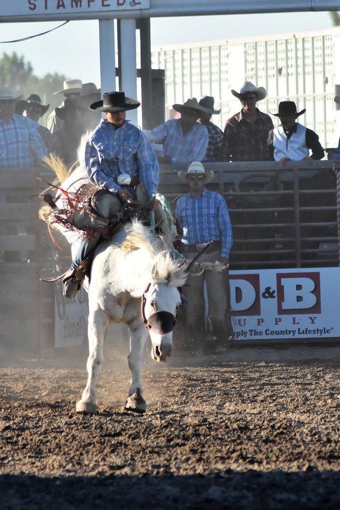 Baker County Tourism 45174 Great Rodeo… Flickr