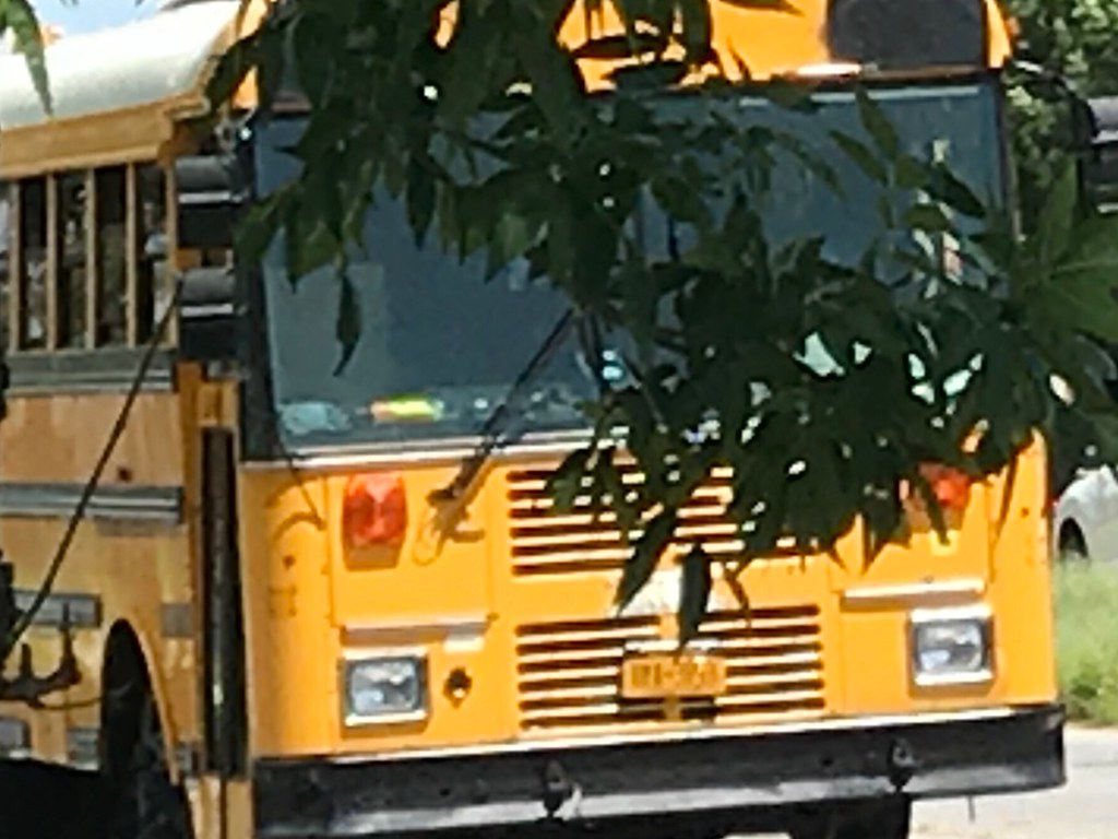 RARE Thomas EF conversion school bus in wantagh ! levittown school bus photography Flickr