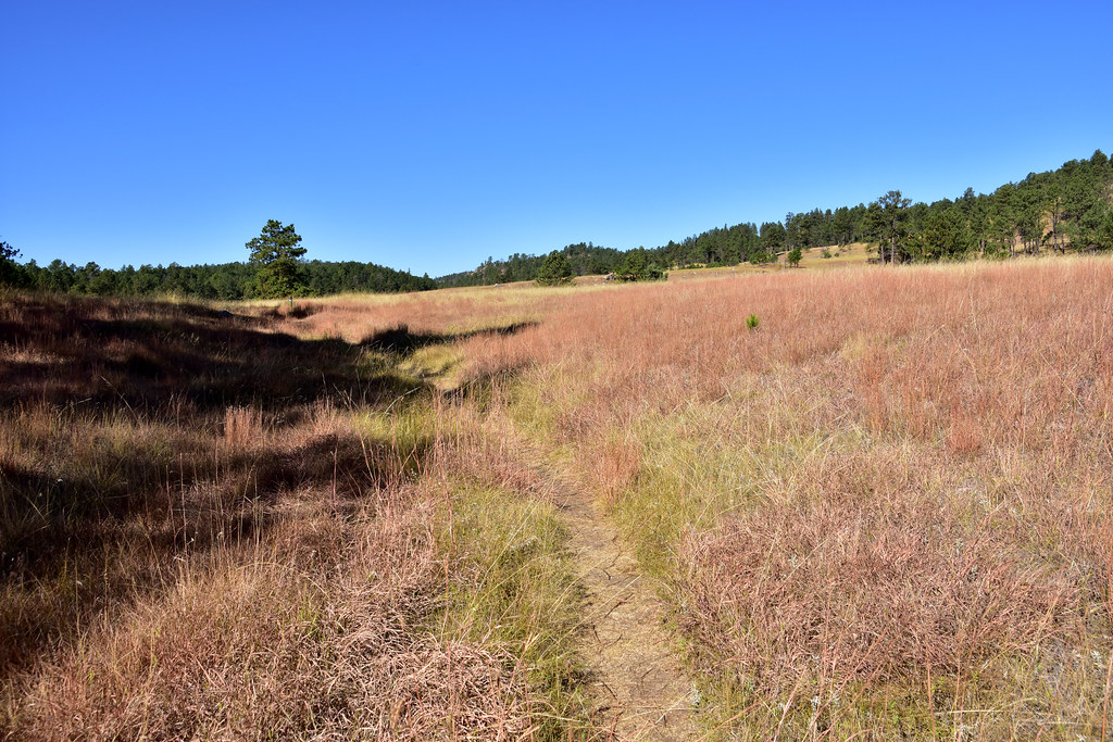Cold Brook Canyon Trail All people which wanna do a hike a… Flickr
