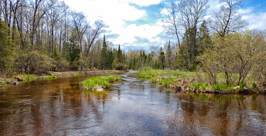 Northern Michigan River Property For Sale at Terese Woodring blog