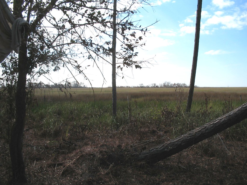 In the Mississippi Bayou after hurricane katrina. NYC HPD … Flickr
