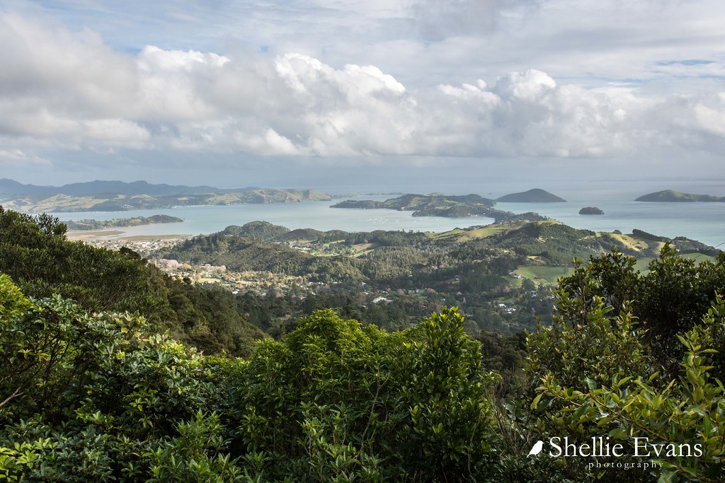 Coromandel Town from the Road to Kennedy Bay Blog Post her… Flickr