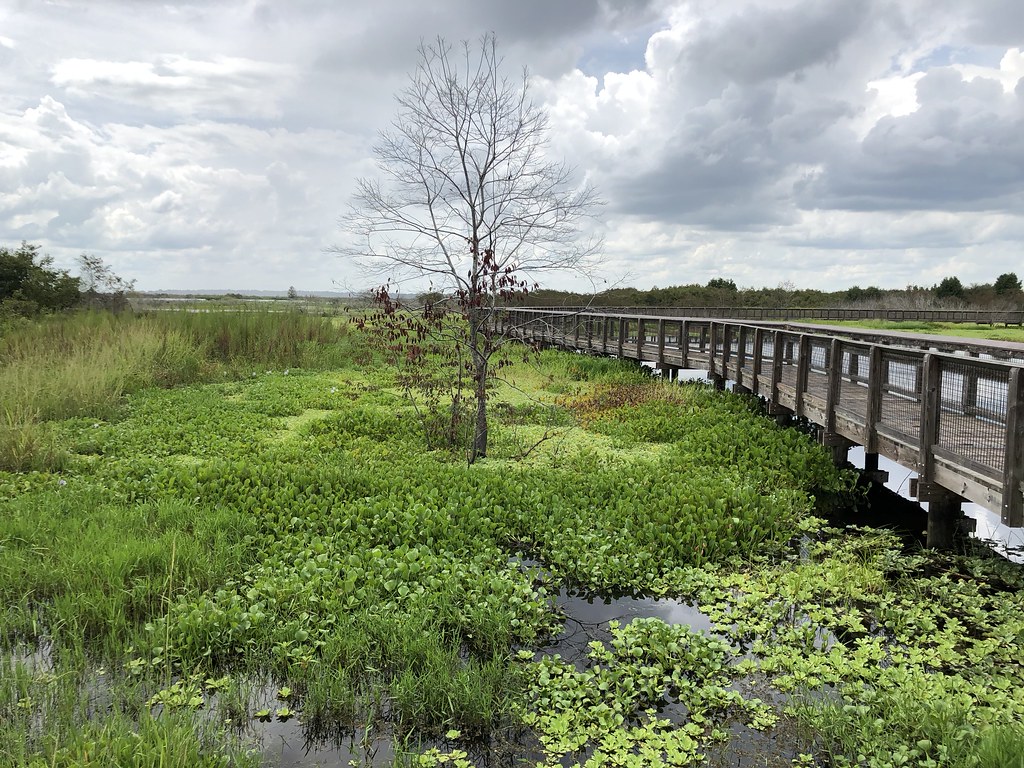 La Chua Trail Paynes Prairie State Park Todd Van Hoosear Flickr
