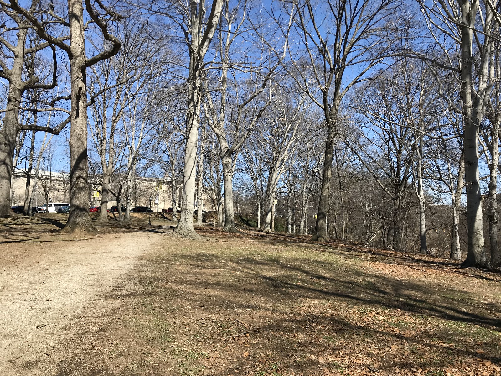 Wyman Park Dell Baltimore Places