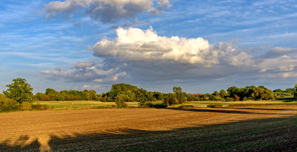 My local landscape Typical for this part of Leicestershire… Flickr