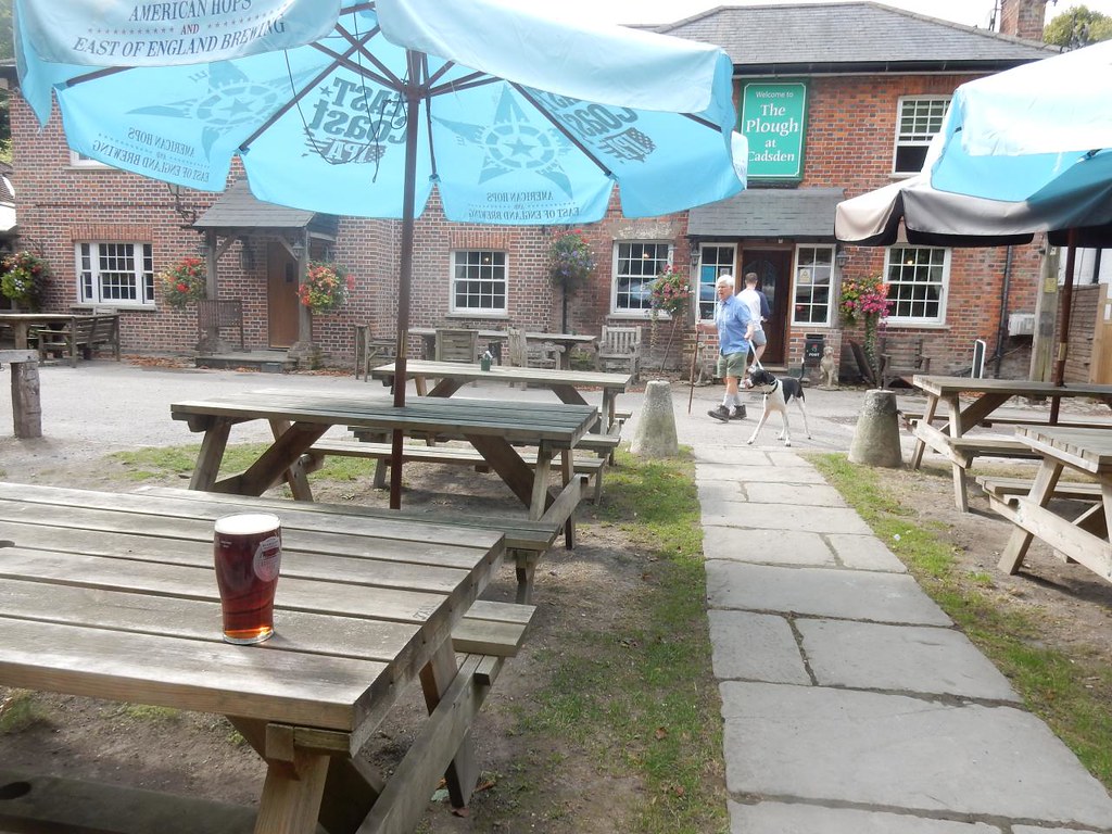 Photos Princes Risborough to Wendover Walk SWC