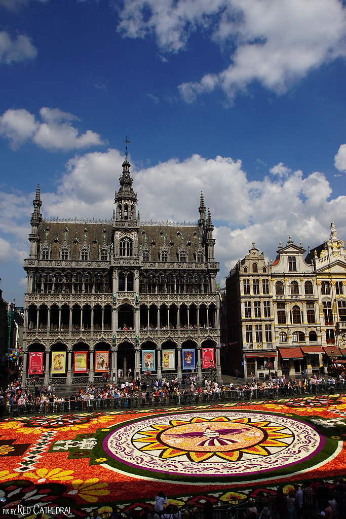 Brussels Flower Carpet The 2018 Brussels Flower Carpet bri… Flickr
