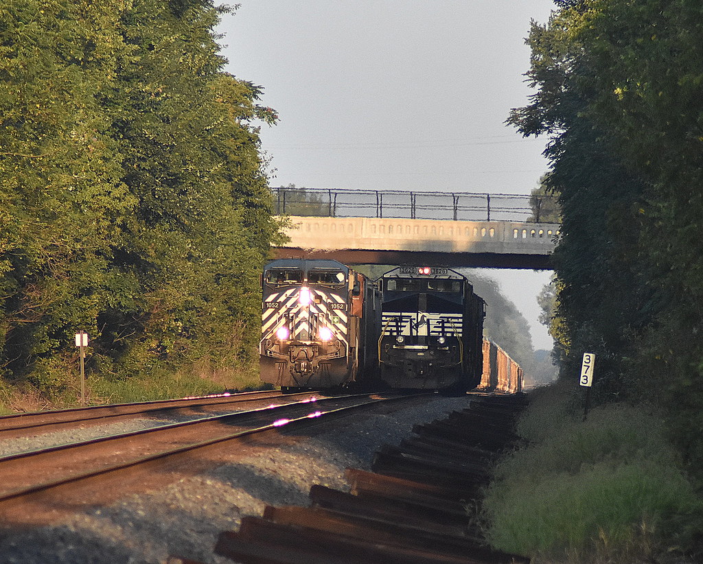 Light power move passing a blue bird at Corunna Indiana Flickr