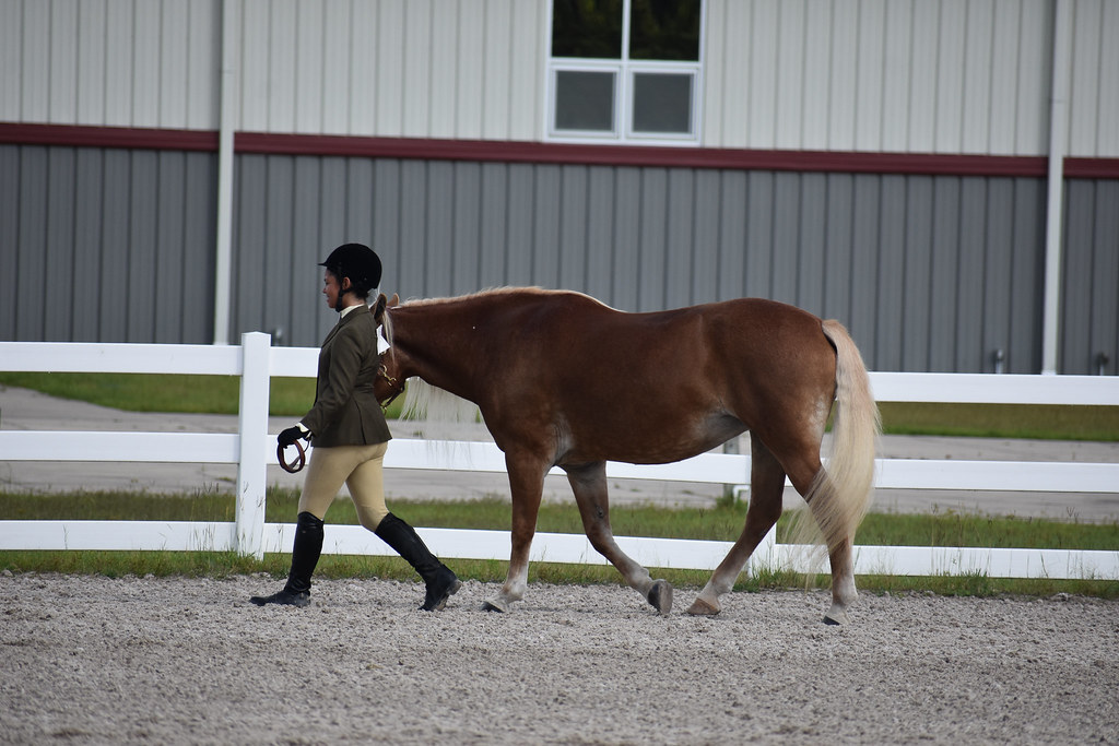 ALLBreedHorseShow43 The Jacksonville Equestrian Center ca… Flickr