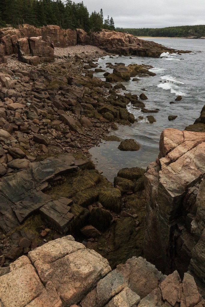Elevation of Grand Marsh Bay Road, Grand Marsh Bay Rd, Gouldsboro, ME