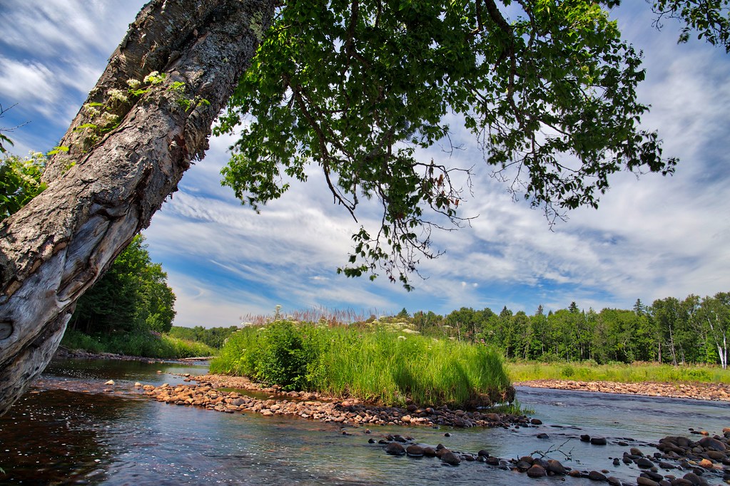 Rivière.rouge Ascension Le bord de la Rivière Rouge à l'A… Flickr