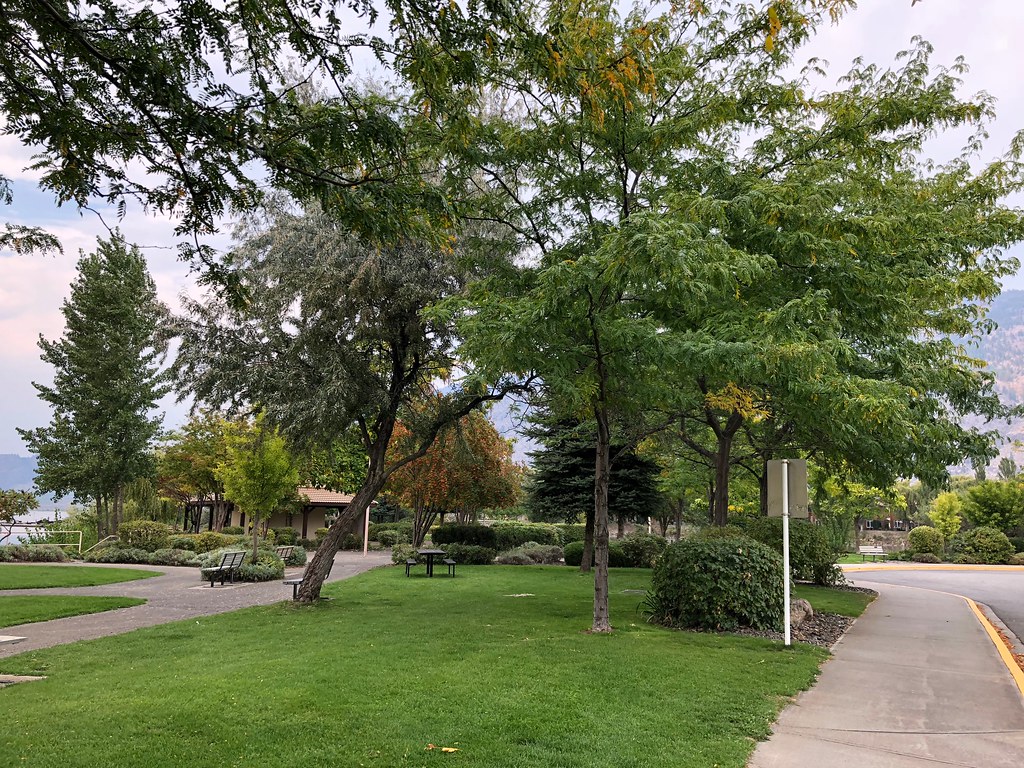 Cottonwood Park Part of Cottonwood Park in Osoyoos. Jeff Flickr
