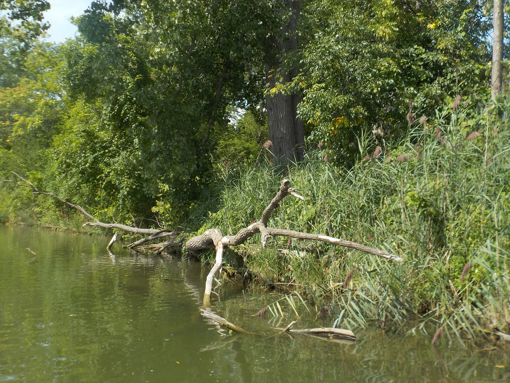 WATERBIKE ADVENTURES at Tonawanda Gateway Harbor Tonawand… Flickr