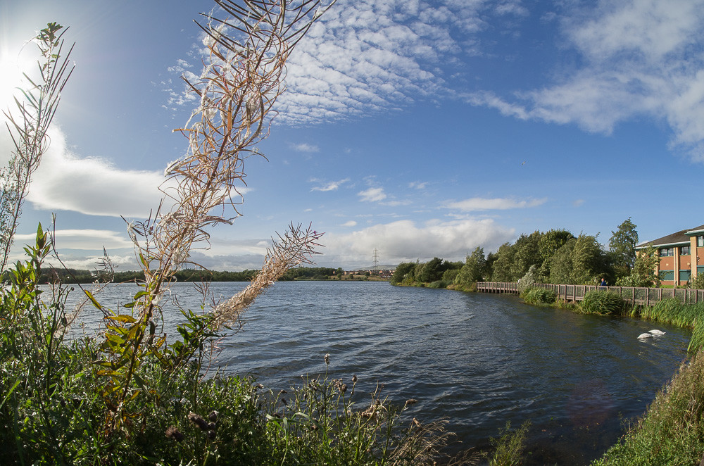 Willow Herb Broadwood Loch in ultra wide angle. Donald Campbell