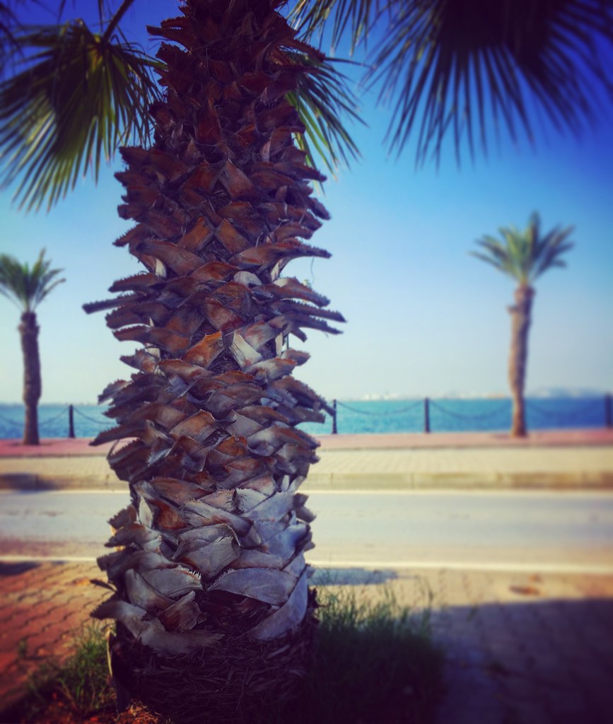 Le lac 2 Tunisie Chams Edine Hamrouni Flickr