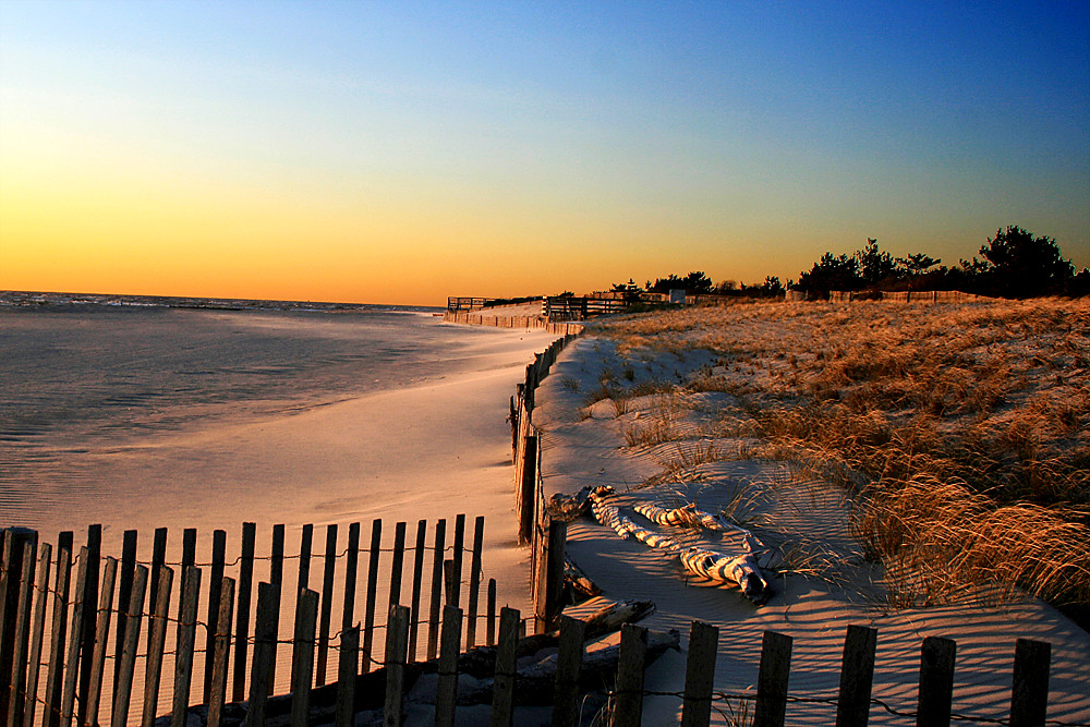 Elevation of Scott Ave, North Cape May, NJ, USA Topographic Map