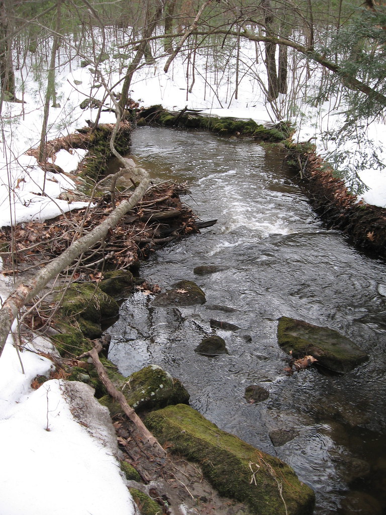 Sawmill Brook (looking southeast) a photo on Flickriver