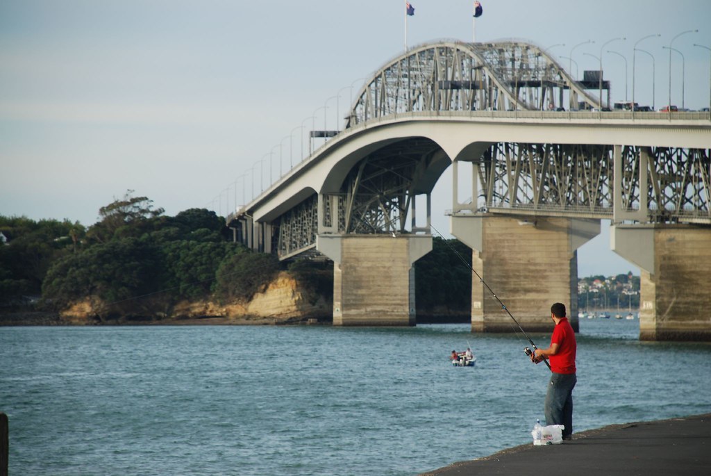 Auckland Bridge, NZ 2007 The bridge is a major landmark fo… Flickr