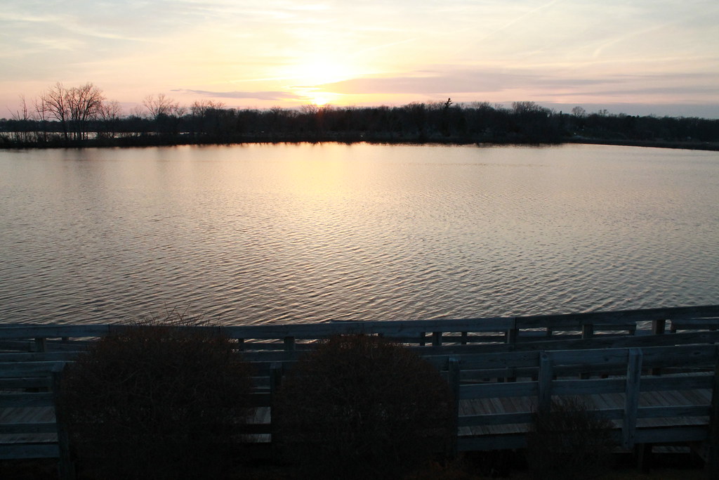 IMG_1043 Belleville Lake Farheen Gill Flickr