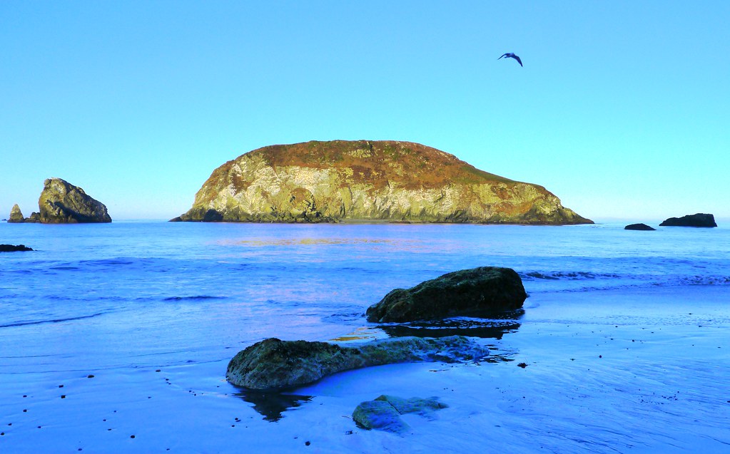 Bird Island offshore from Harris Beach State Park near Bro… Flickr