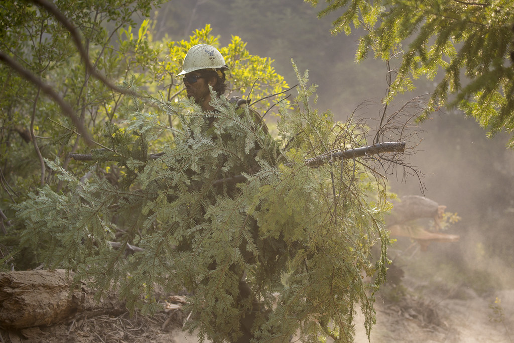 BLM Lakeview Crew 7 A BLM fire crew out of Lakeview, Orego… Flickr