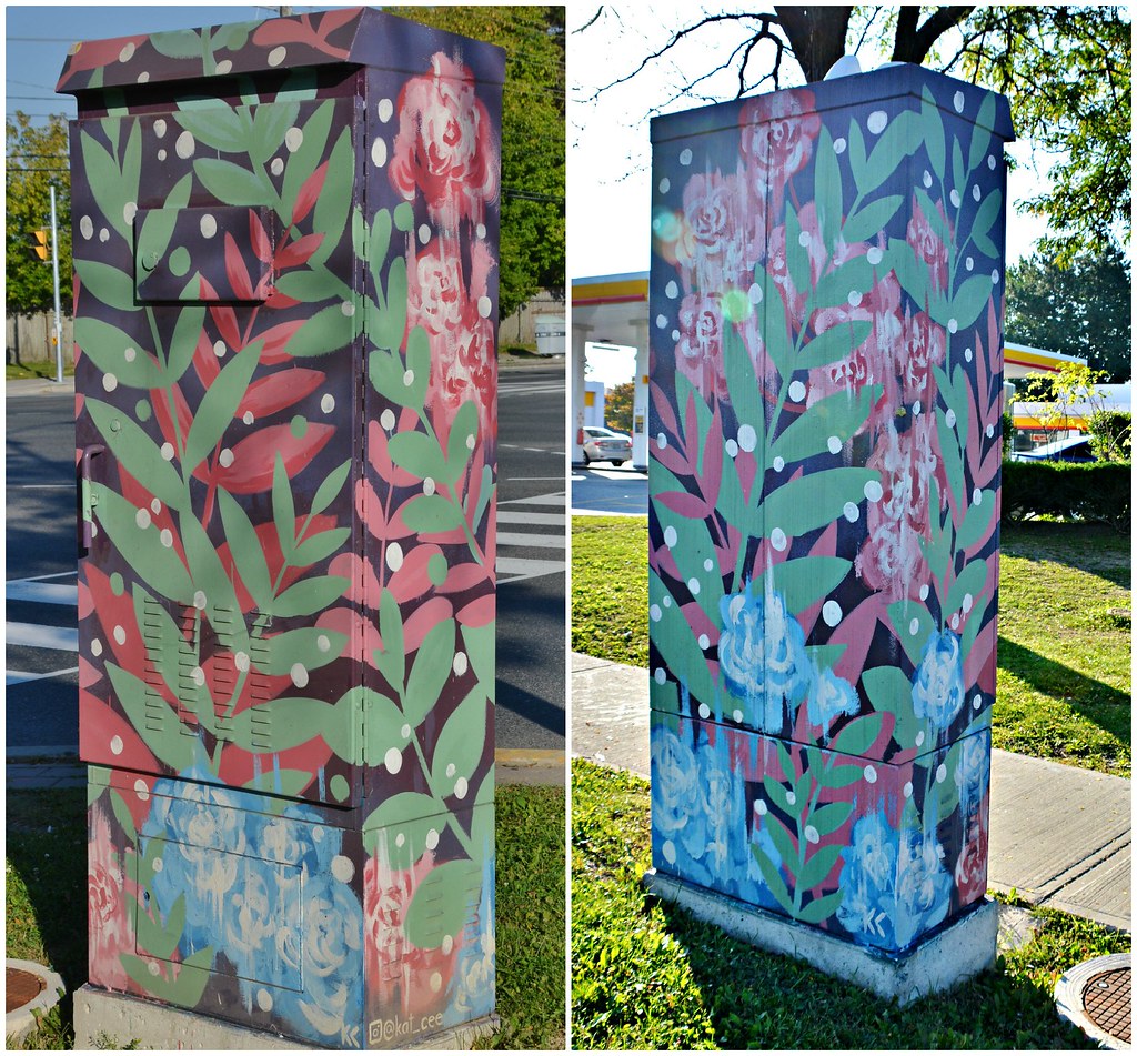 Outside the Box Art Project, Katrina Canedo, Finch Avenue … Flickr