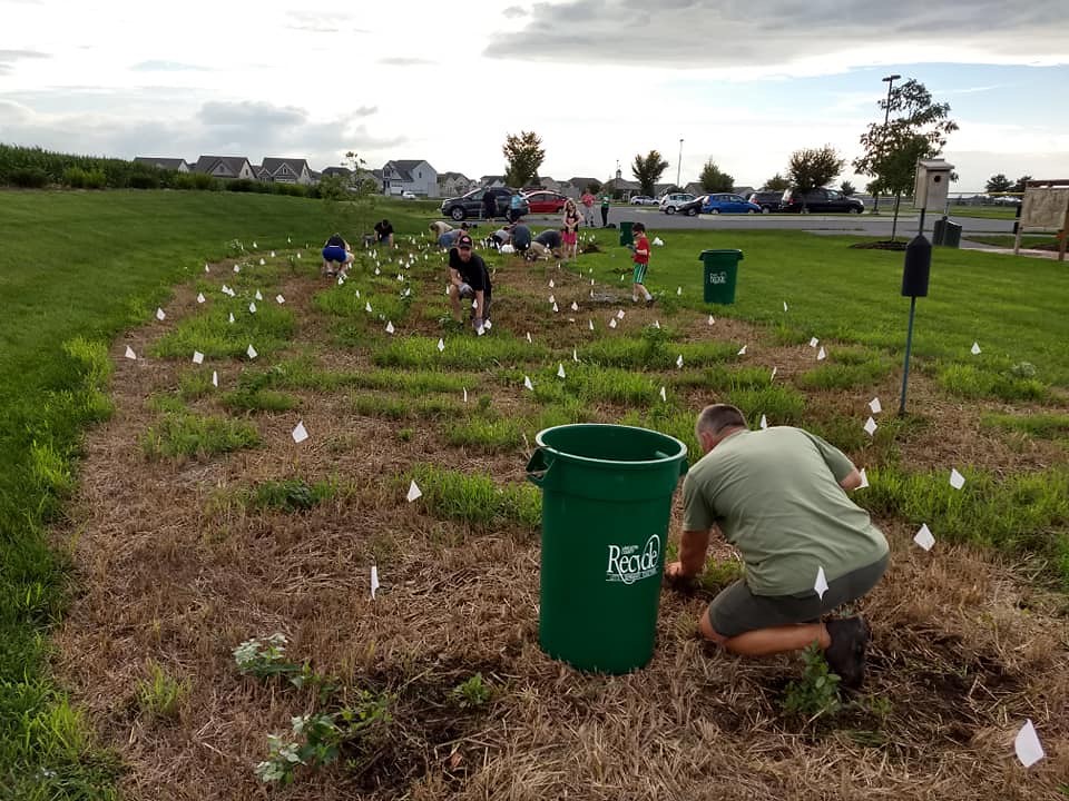 IMG_1815 Dog Park Mount Joy Flickr