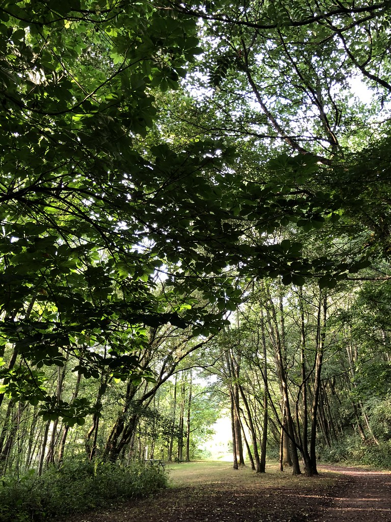 Deep Hayes Country Park Deep Hayes Country Park is a mixtu… Flickr