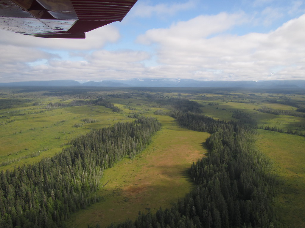 Yakutat Forelands Connor Shea Flickr