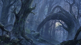 Descargar Fondos De Pantalla Bosque Oscuro Gratis Descarga