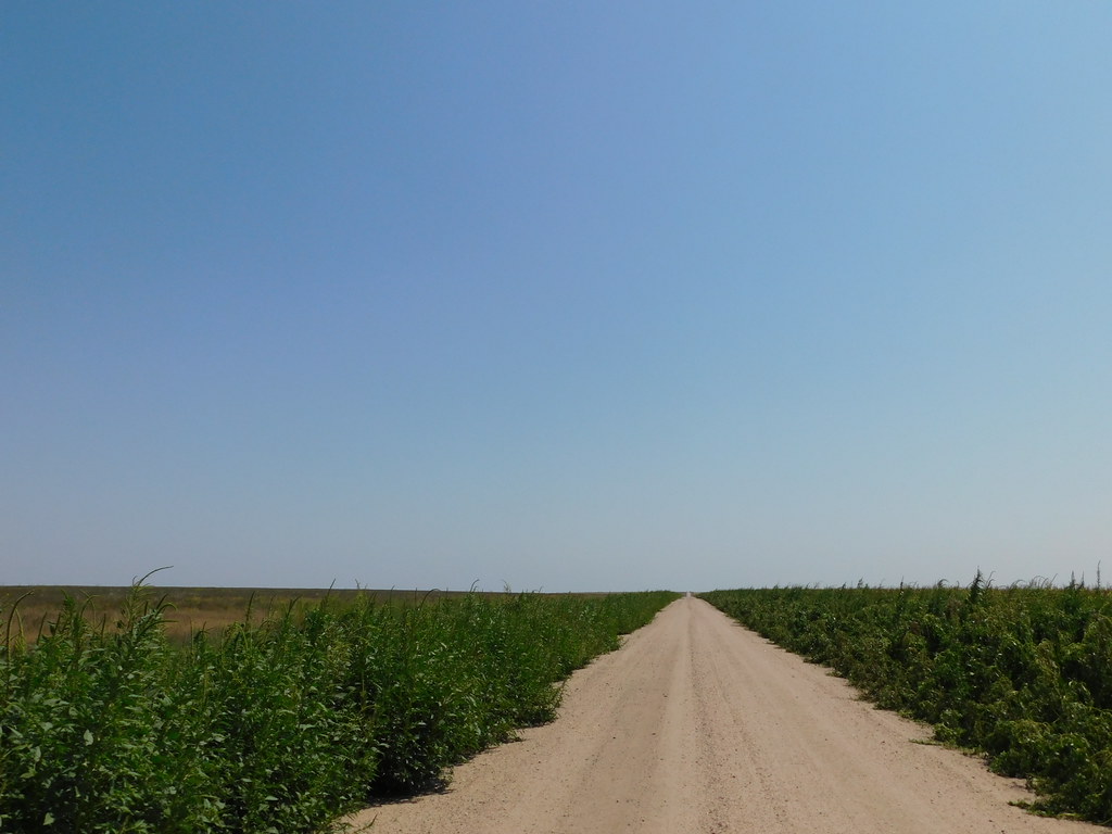 Wallace County Xpressway That was truly what it was called… Flickr