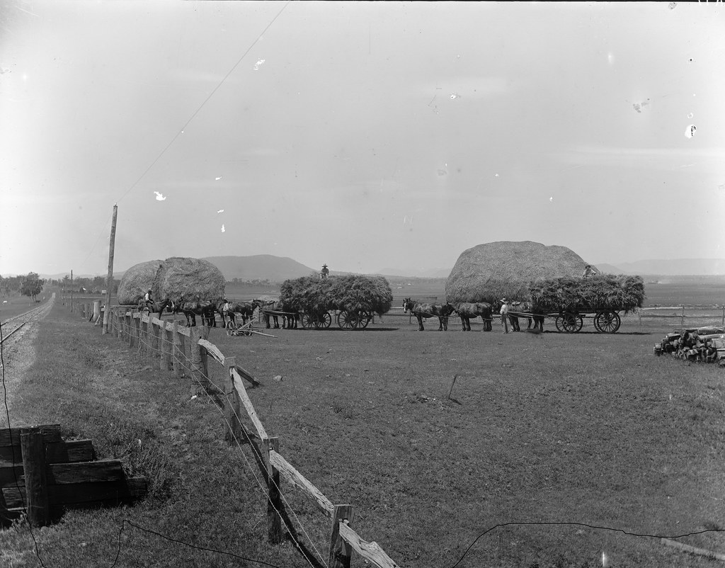 Green Hills Farm near Warwick a photo on Flickriver